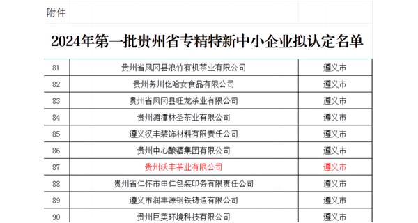 荣获贵州省中小企业“专精特新”中小企业培育名单