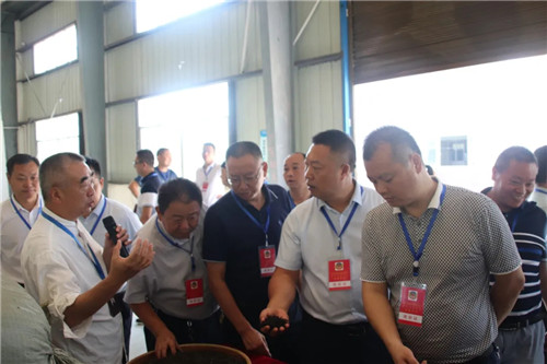 640.webp (15)_副本.jpg